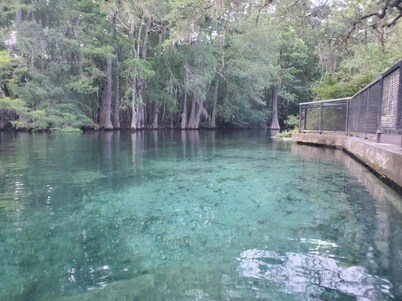 Springs  Cottage 3/1 sleeps 8, near Ginnie, Fanning Springs , Manatee and blue 