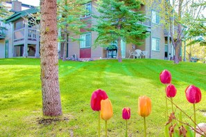 Unclassified image, 5 of 50, button