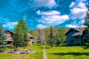 Unclassified image, 5 of 50, button