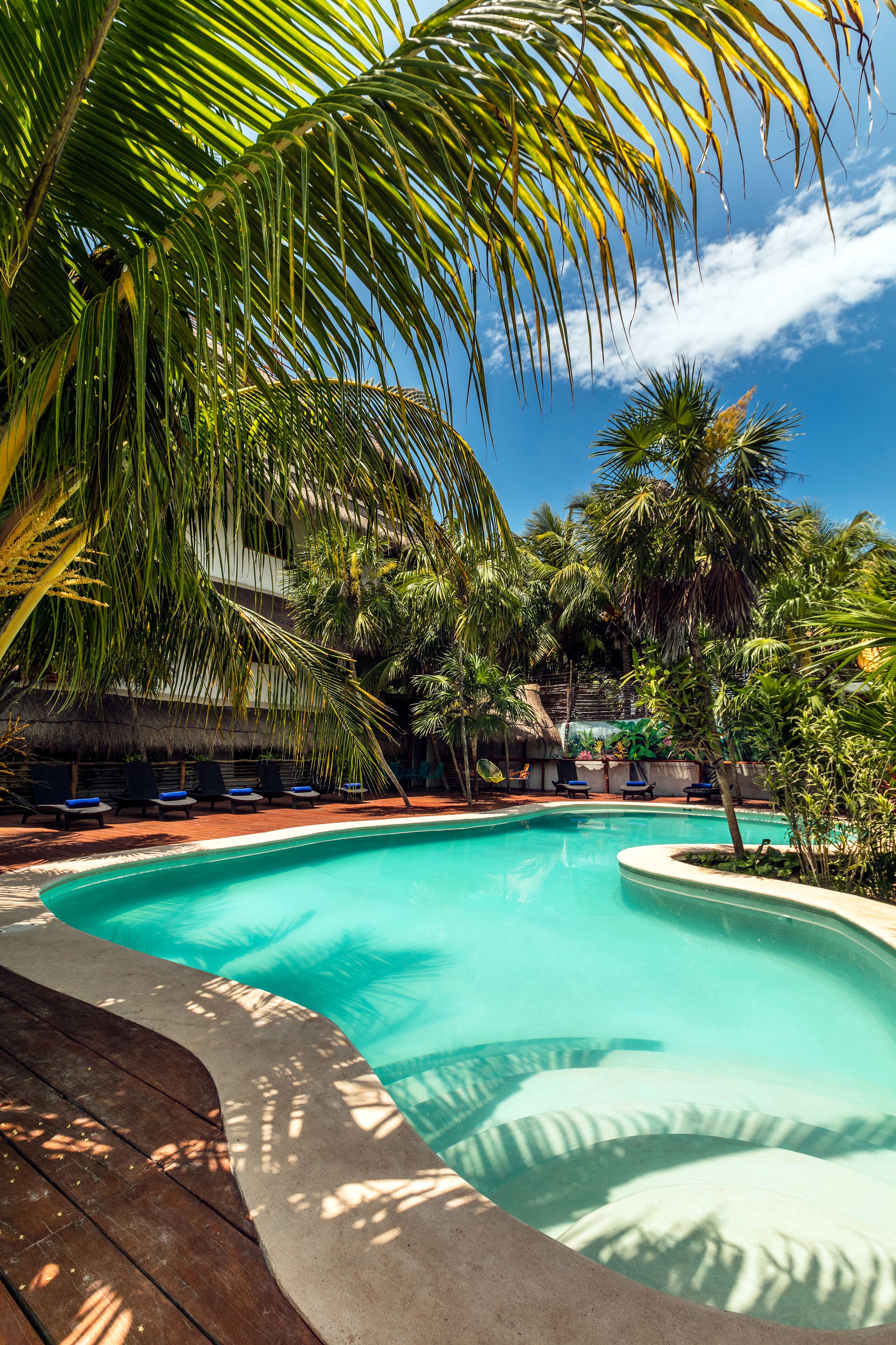 outdoor pool, open 8:00 am to 8:00 pm, pool loungers