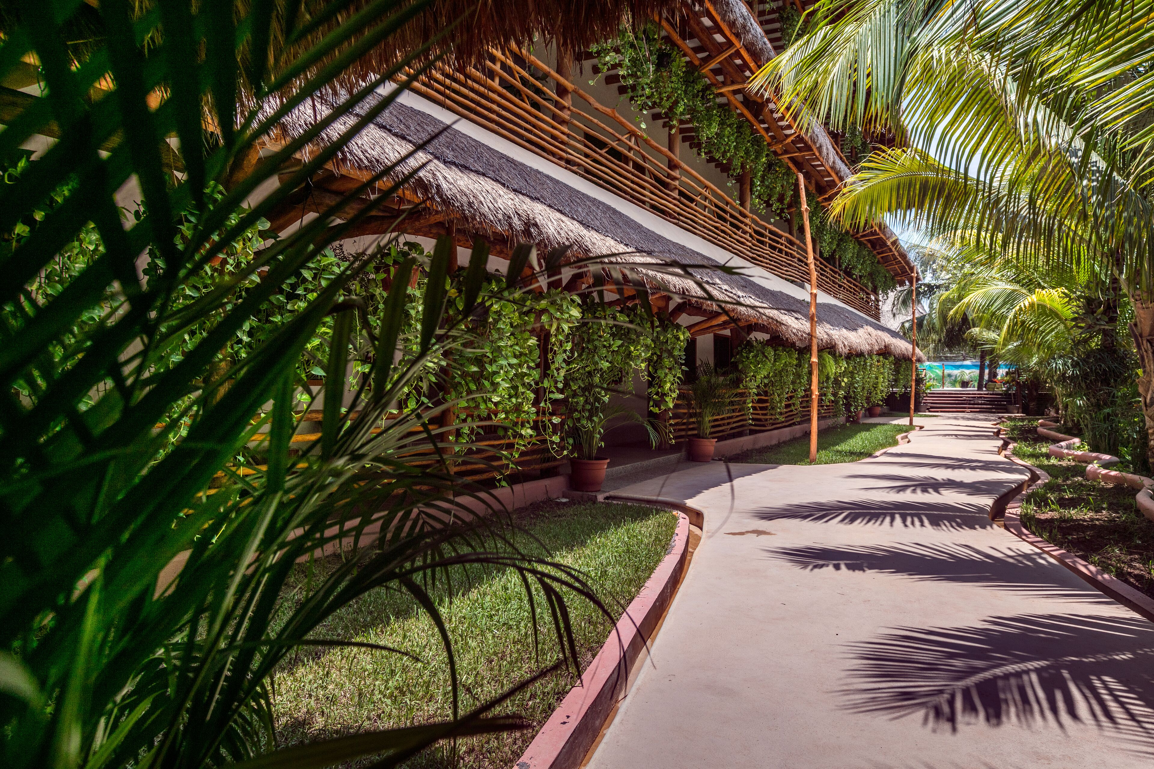 Foto - La Palma Holbox