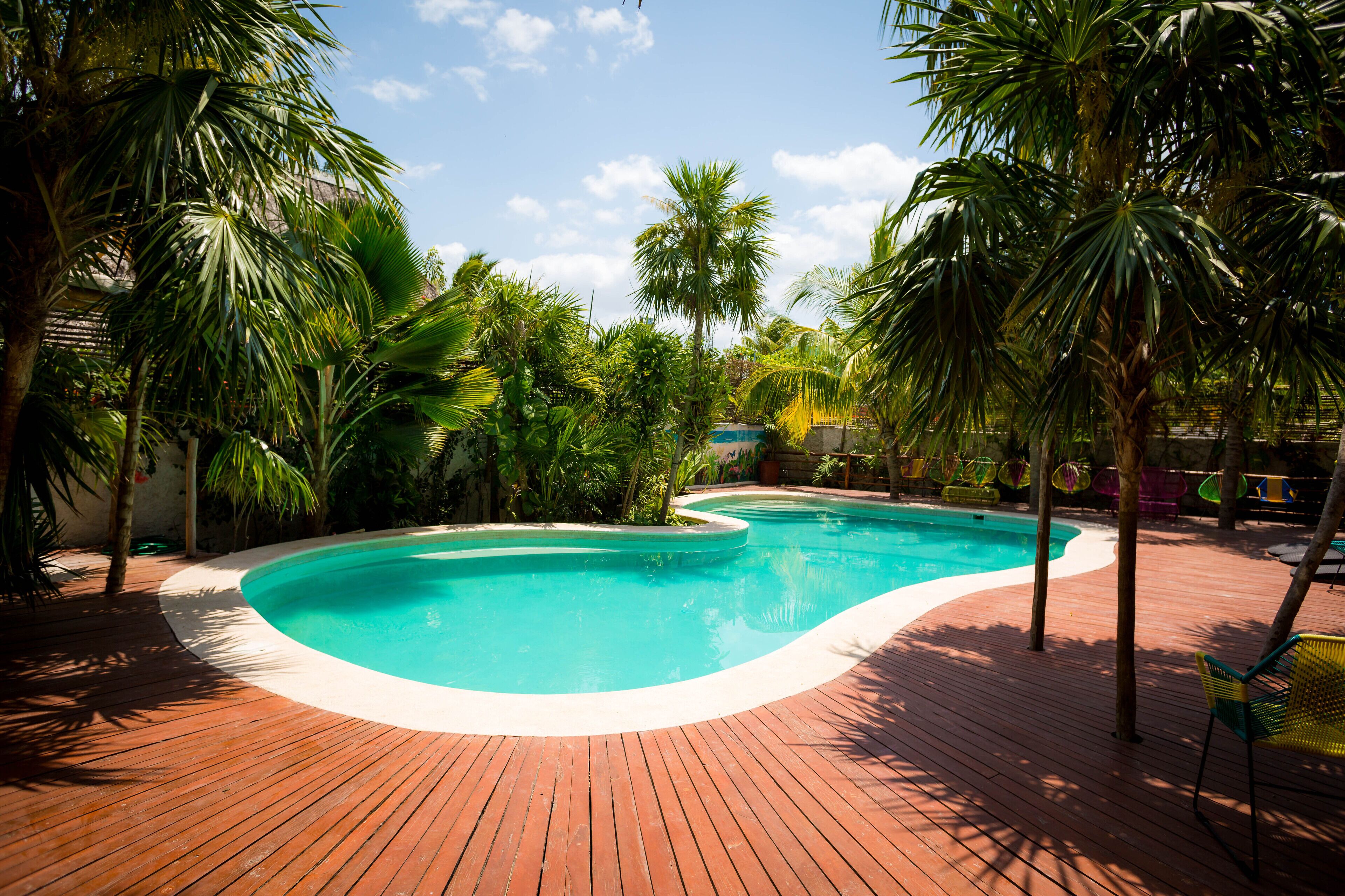 Foto - La Palma Holbox