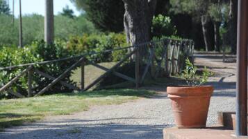 Parco della struttura