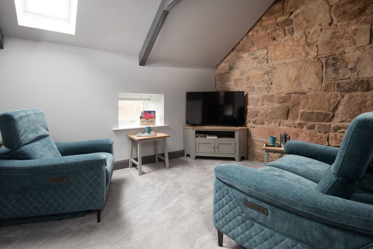 Une pièce chaleureuse avec deux fauteuils turquoise, un téléviseur à écran plat, une petite table en bois et un mur en pierre.
