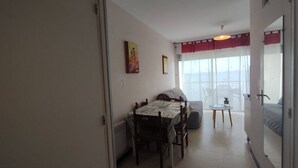 Living area - Pleasant T1 near Thermal establishment, pets allowed (Balaruc-les-Bains)