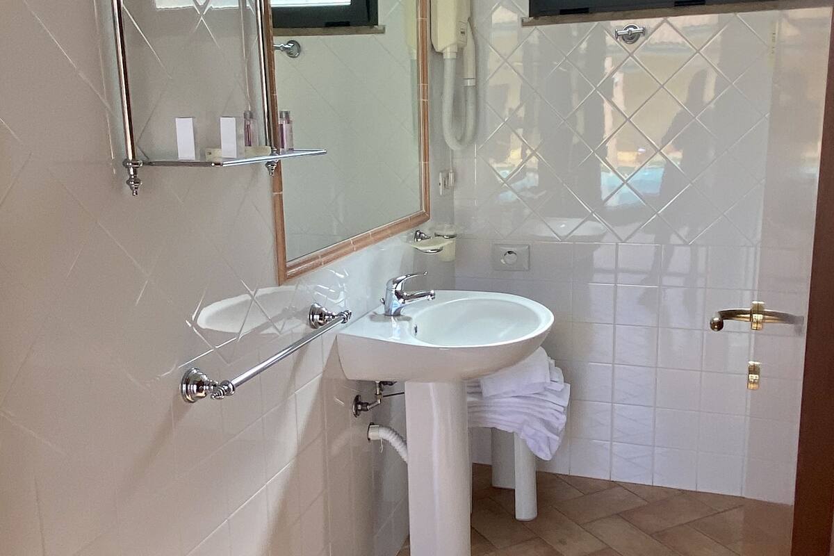 shower, hair dryer, bidet, towels