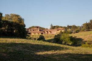 Basic Double Room | Resort view