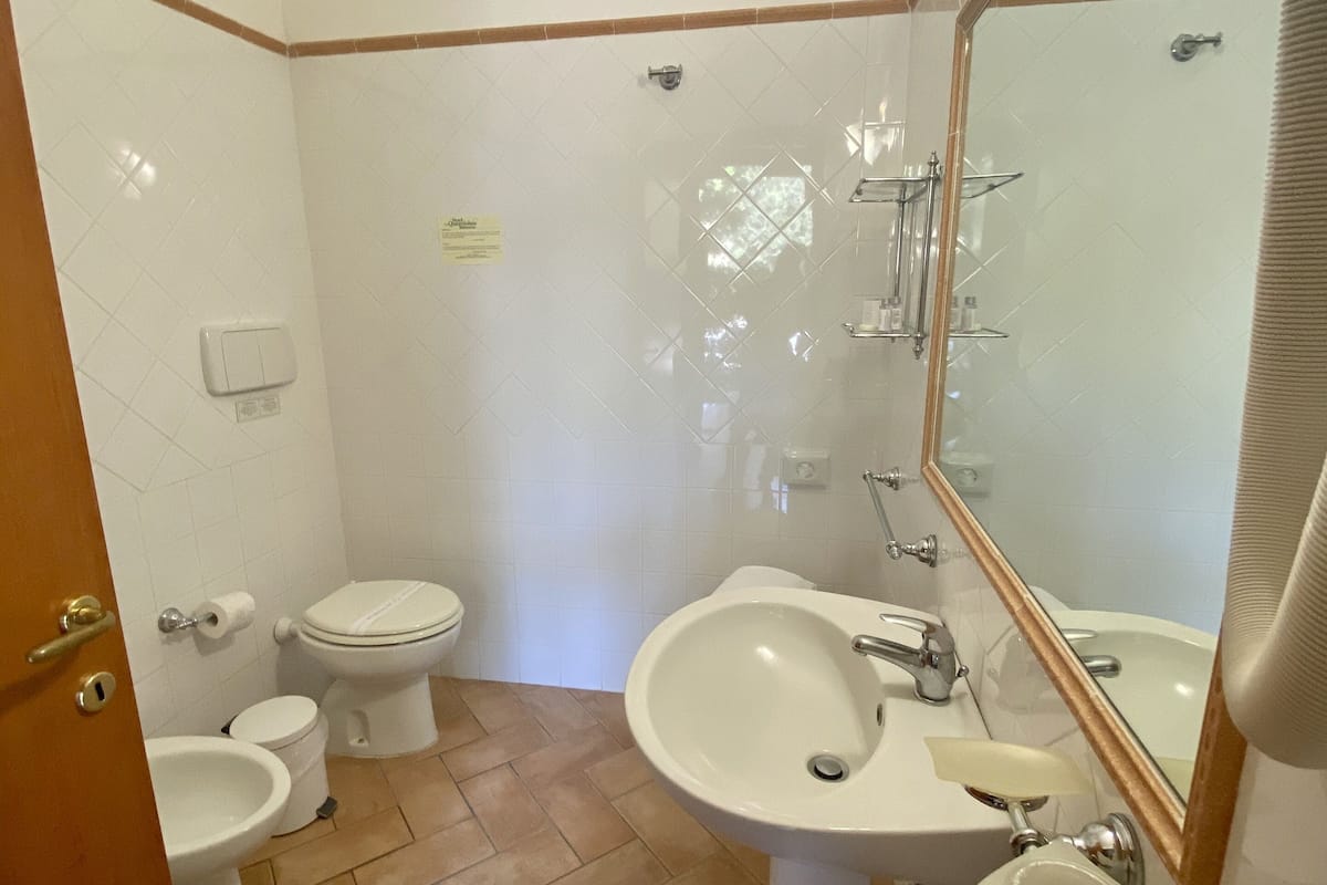 shower, hair dryer, bidet, towels