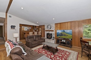 TV, fireplace, video games, DVD player