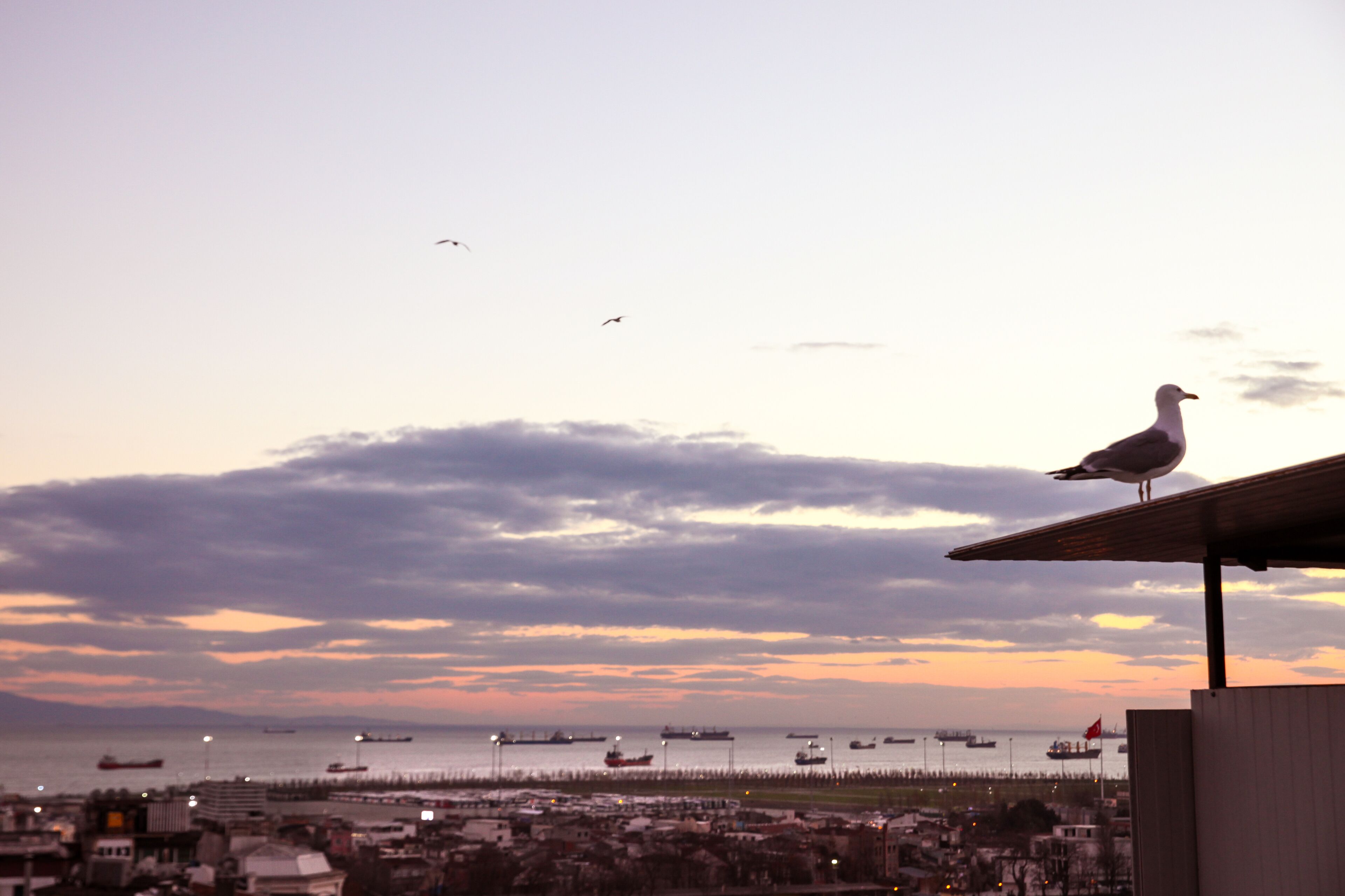 Foto - Hotel Ephesus Istanbul