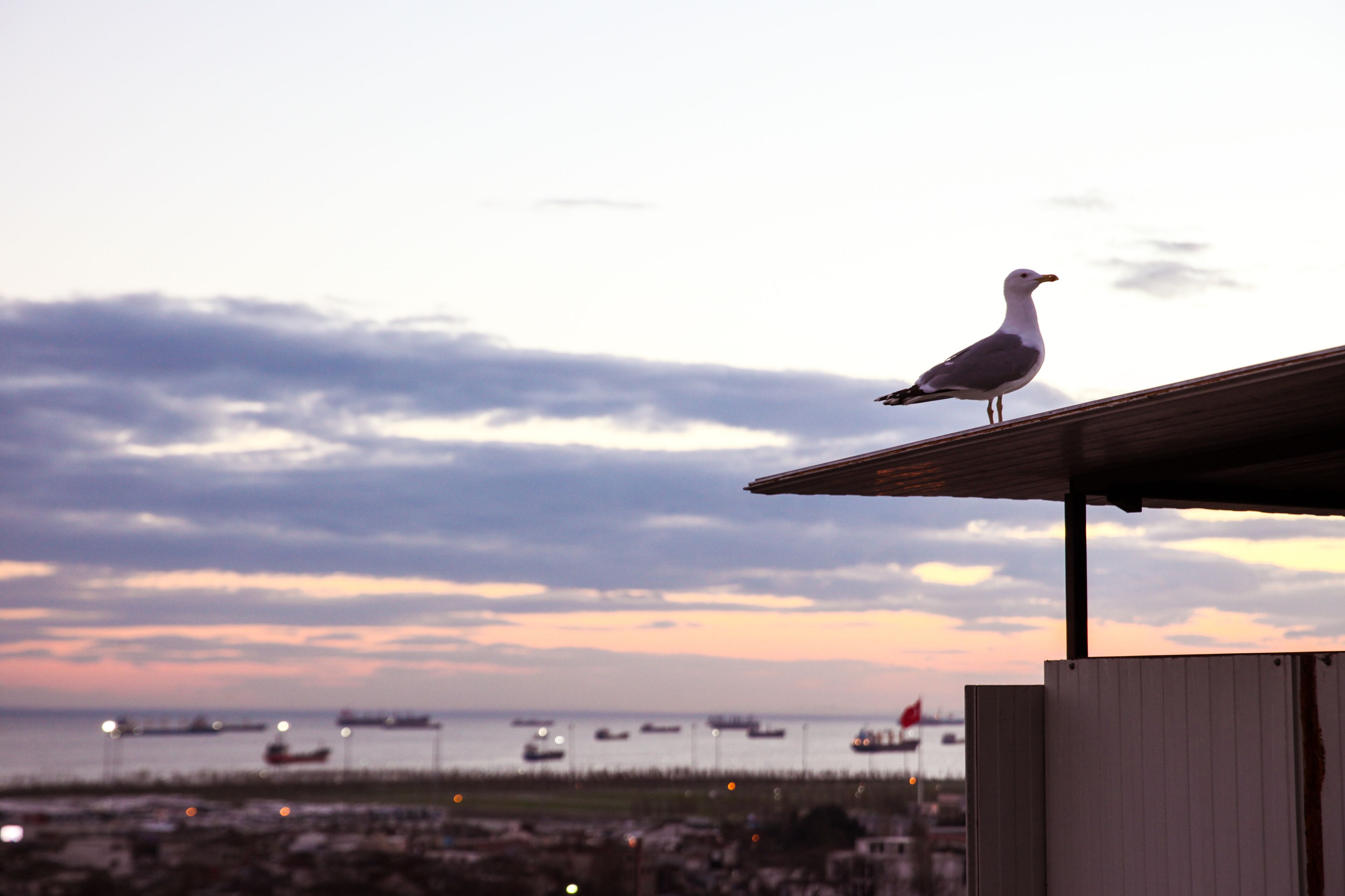 Foto - Hotel Ephesus Istanbul