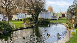 Un étang avec des canards, entouré d’herbe et d’arbres, avec des maisons mobiles en arrière-plan.