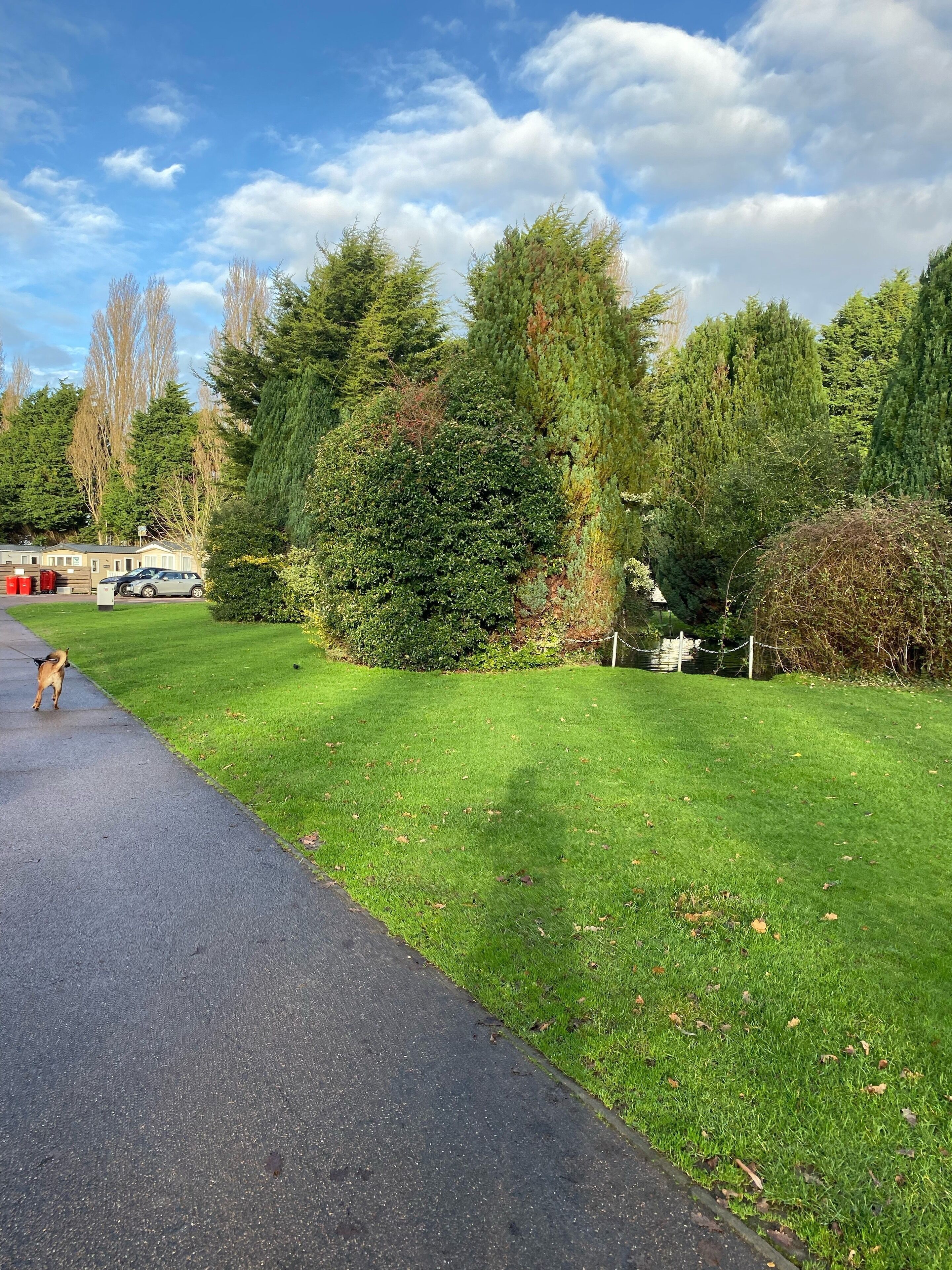 Un chemin pavé longe une zone herbeuse bien entretenue, bordée d’arbres touffus, sous un ciel dégagé.