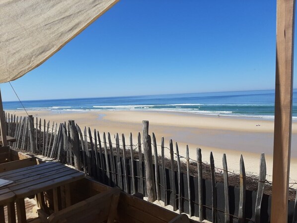 بالقرب من الشاطئ