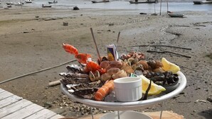 A seafood platter on a wooden table with a view of boats on a beach in the background. - Vacation home with heated pool (La Teste-de-Buch)
