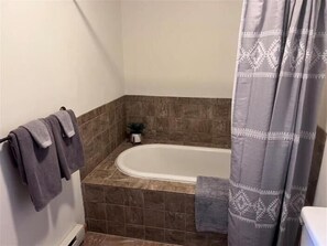 A bathroom with a bathtub, tiled walls, and a shower curtain. - YR10- AC! Pet Friendly! Hot tub! (Davis)