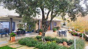 An outdoor patio area with tables and chairs, surrounded by potted plants and a large tree. - Madre del Agjua Rural House. Finca El Robledillo. (MONESTERIO)