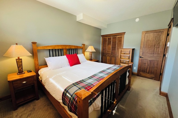 Master Bedroom with King bed, closet, TV and ensuite full bathroom.