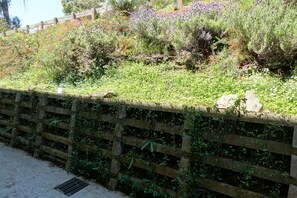 Habitació familiar | Vista del jardí