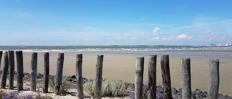 Plage à proximité