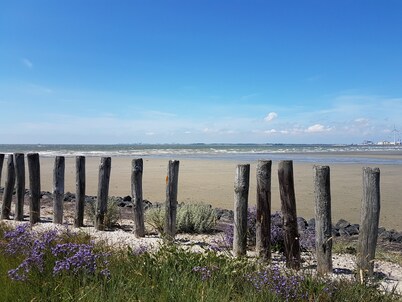 Cascara, Detached quiet cottage near beach