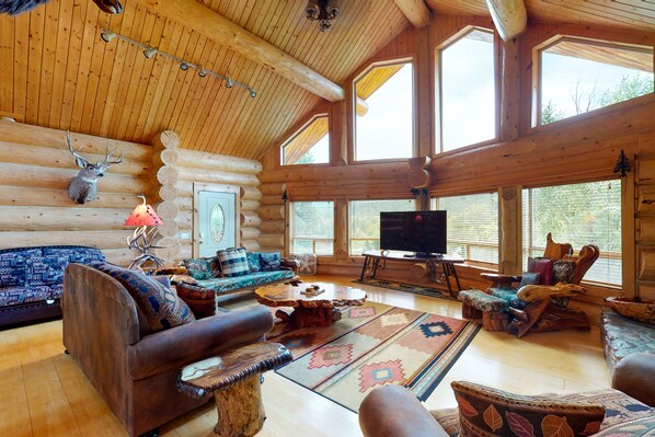 TV, fireplace, DVD player, books