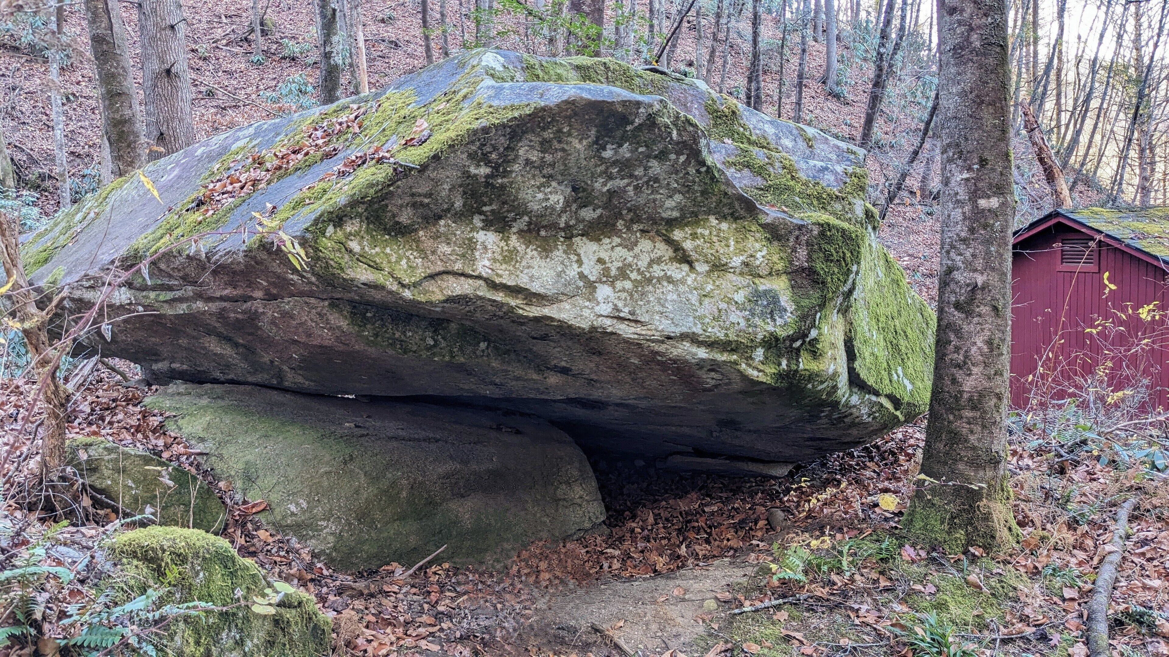 A large rock formation with a moss-covered surface, surrounded by a forest with fallen leaves.