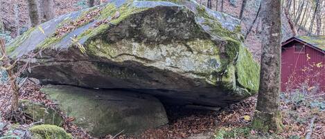 A large rock formation with a moss-covered surface, surrounded by a forest with fallen leaves.