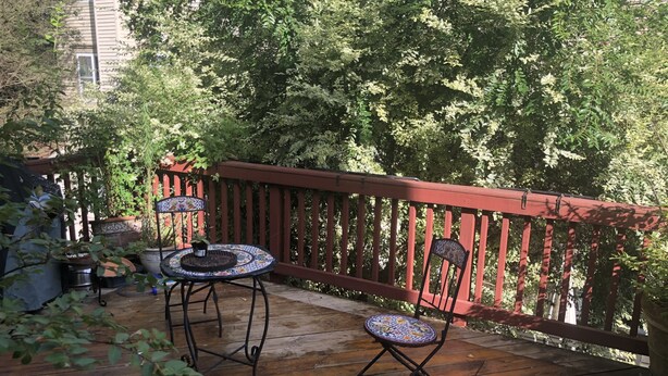 Comfort Townhome | Terrace/patio - Resting Easy in Reston (Reston)