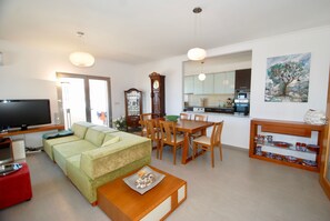 TV, fireplace, DVD player, books