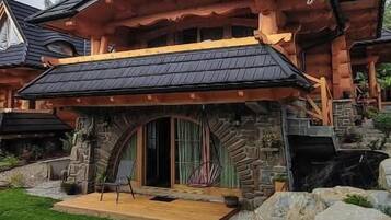 Flat-screen TV, toys