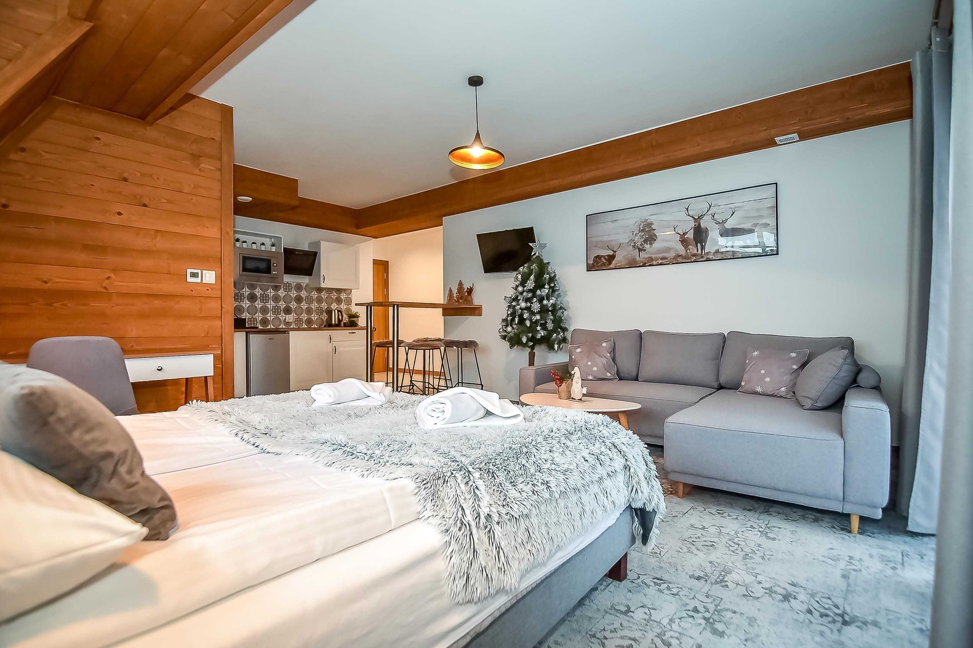 Deluxe Apartment (1) | Desk, soundproofing, free WiFi, bed sheets