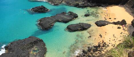 Playa en los alrededores