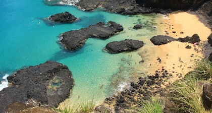 Noronha Forest House