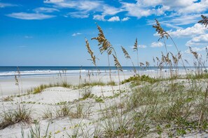 Condo, Multiple Beds (Mermaid Beach House) | Beach