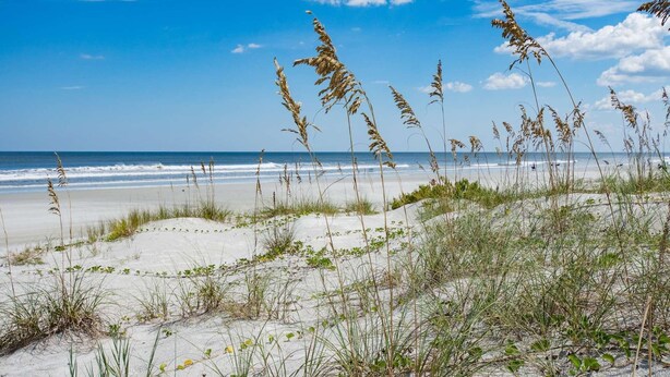 Condo, Plusieurs lits (Way Down in Kokomo) | Plage