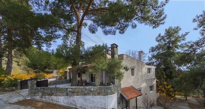 You and Your Family Will Love This 5 Star Villa With Forest Views, Limassol Villa 1001