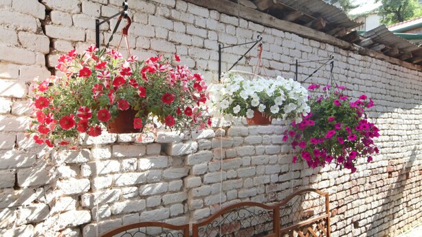 A white brick wall with hanging flower baskets. - Charming Stone Cottage Getaway - Nicosia 1003 (Kalopanayiotis)