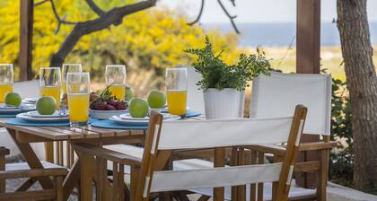 Your Beautiful Holiday Villa With Majestic Sea Views, Protaras Villa 1495