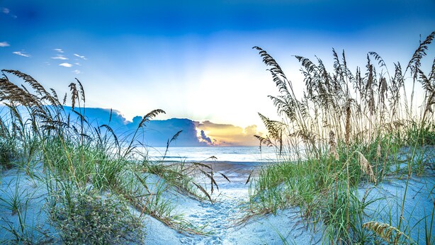 A beach path leading to the ocean with tall grasses and a clear sky. - Centralized, stylish getaway. Short drive to beach, shopping, downtown, Mayo! (Jacksonville)