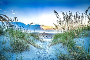 Un sentier bordant la plage, menant à l’océan, avec de hautes herbes et un ciel dégagé.