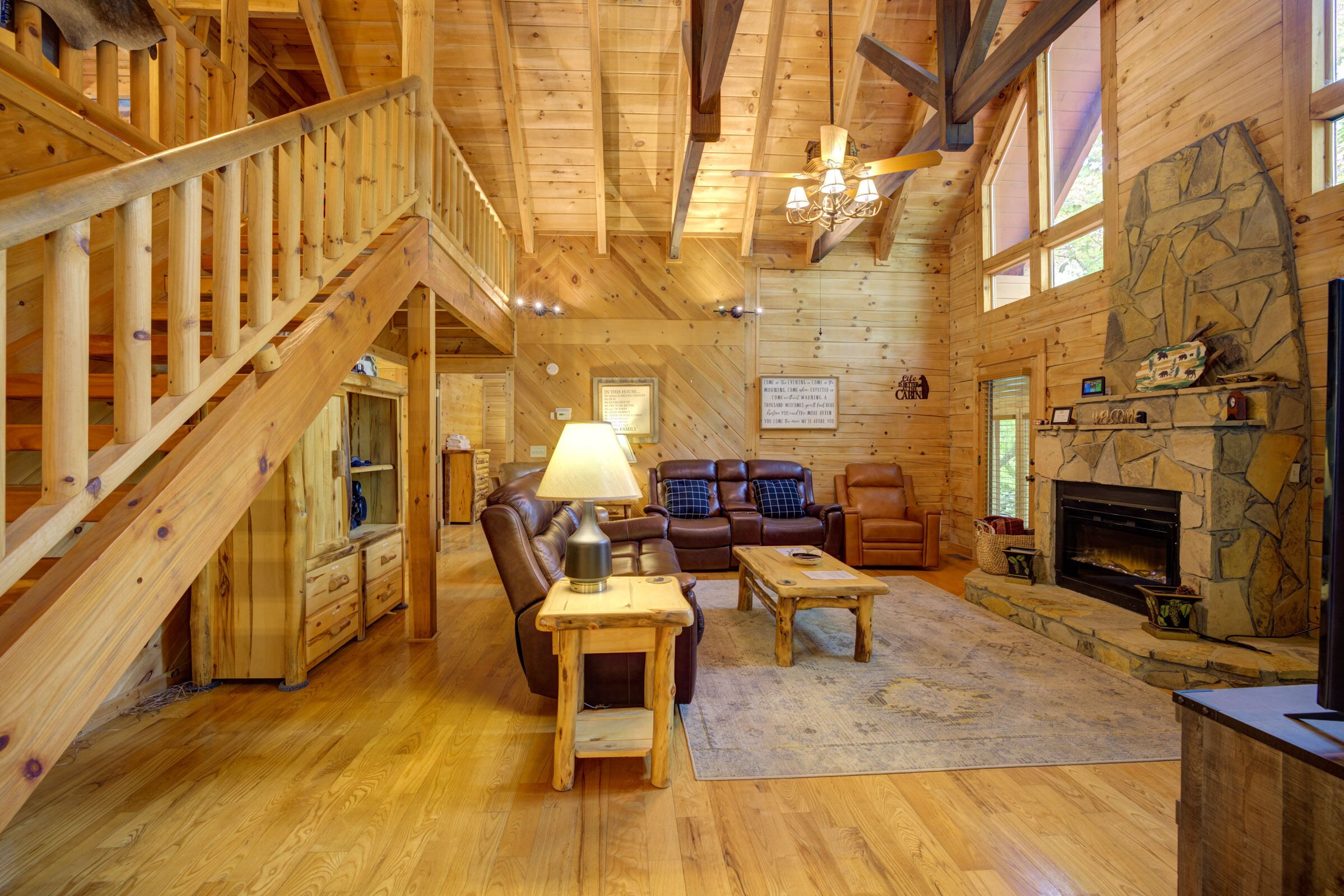 电视、壁炉、DVD 播放器、书