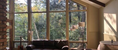 TV connectée, cheminée, livres