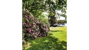 A well-maintained garden with a grassy lawn, a flowering shrub, and a clear view of a lake in the background. - "SABINO" 1 Bdrm Suite (Phippsburg)