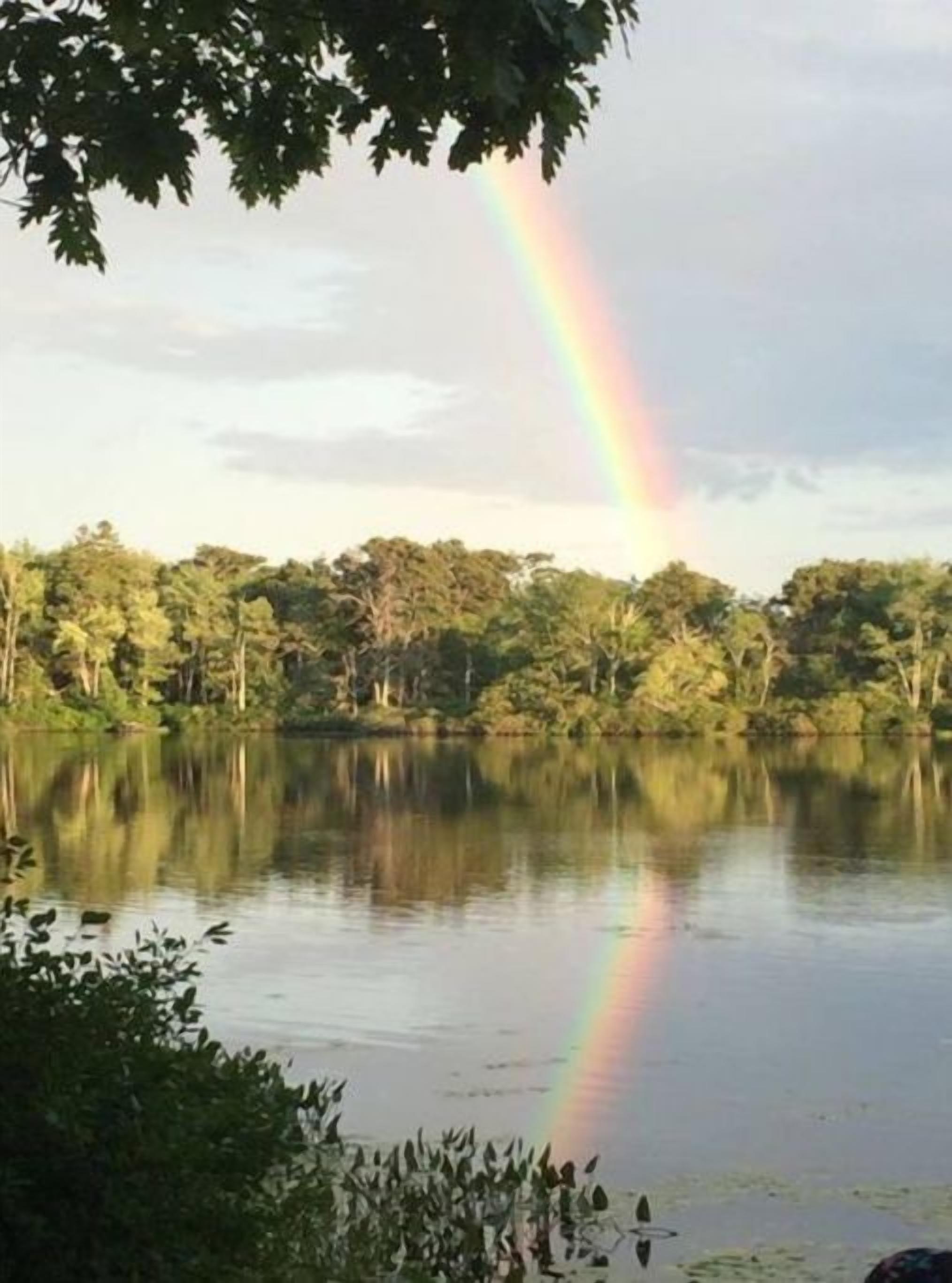 Un lac avec un arc-en-ciel et une forêt dense en arrière-plan.