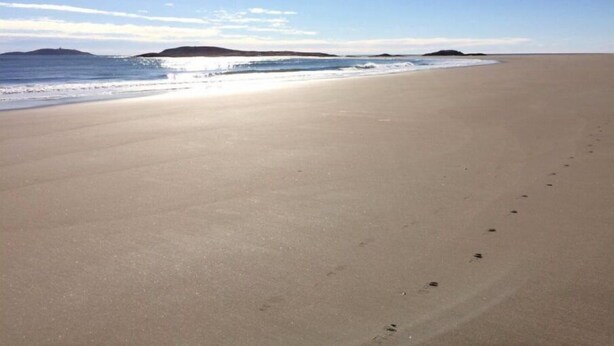 A wide, empty beach with a clear sky and distant landforms. - "SABINO" 1 Bdrm Suite (Phippsburg)