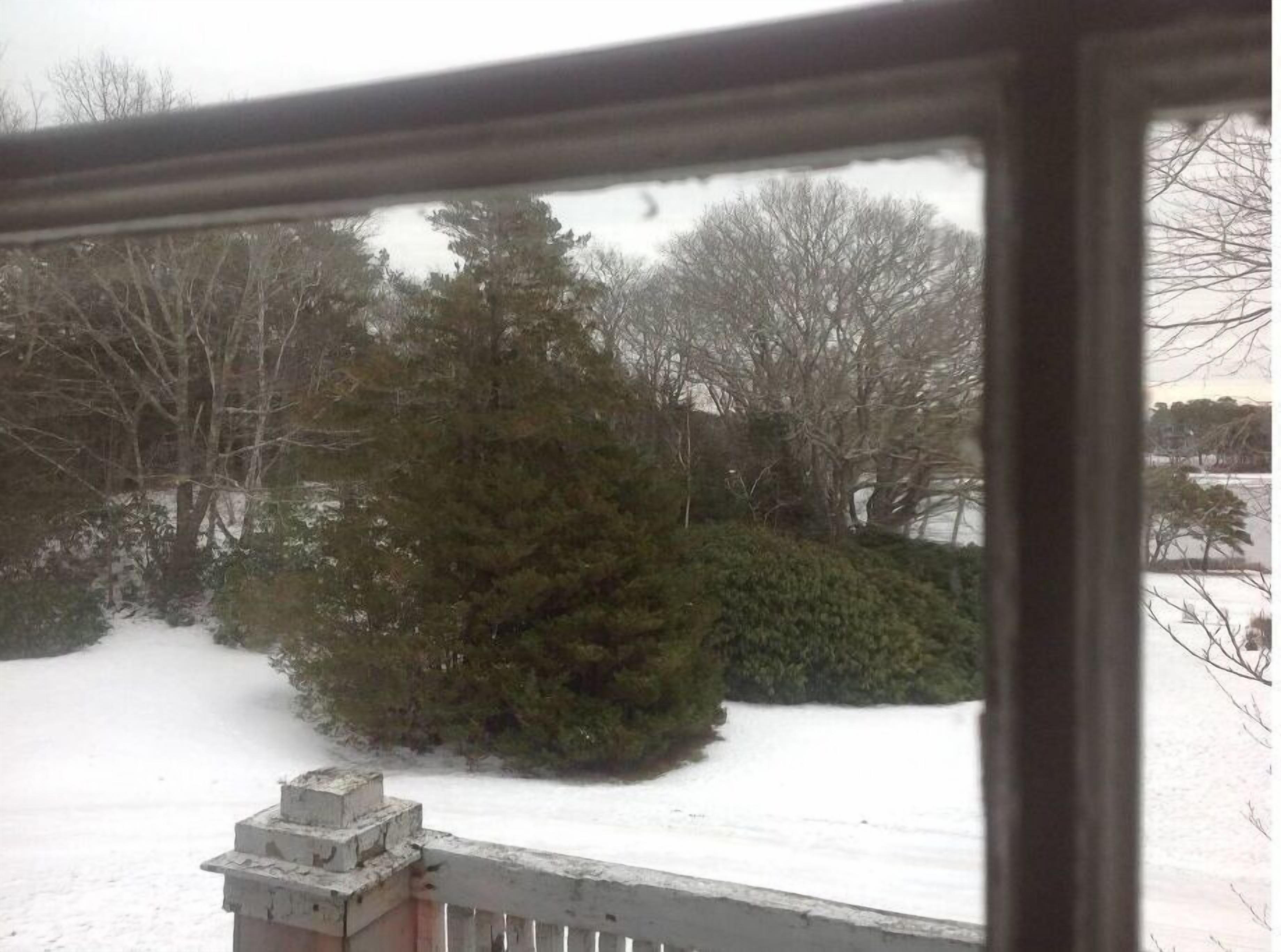 A snowy landscape with a large evergreen tree and a smaller bush in the foreground.