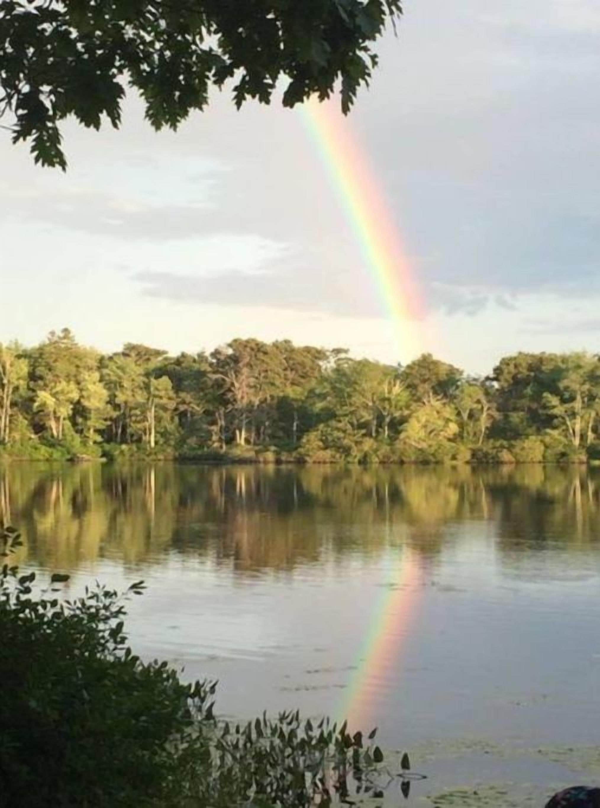 Ein See mit einem Regenbogen und dichter Baumlandschaft im Hintergrund.