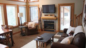 Televisión, chimenea y reproductor de DVD