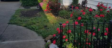 المنطقة المحيطة بالمنشأة